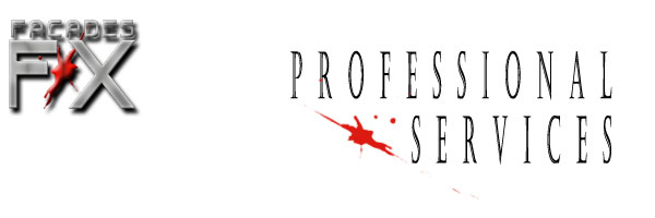 professional services